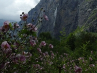 43022CrLe - Trummelbach Falls, Interlaken   Each New Day A Miracle  [  Understanding the Bible   |   Poetry   |   Story  ]- by Pete Rhebergen